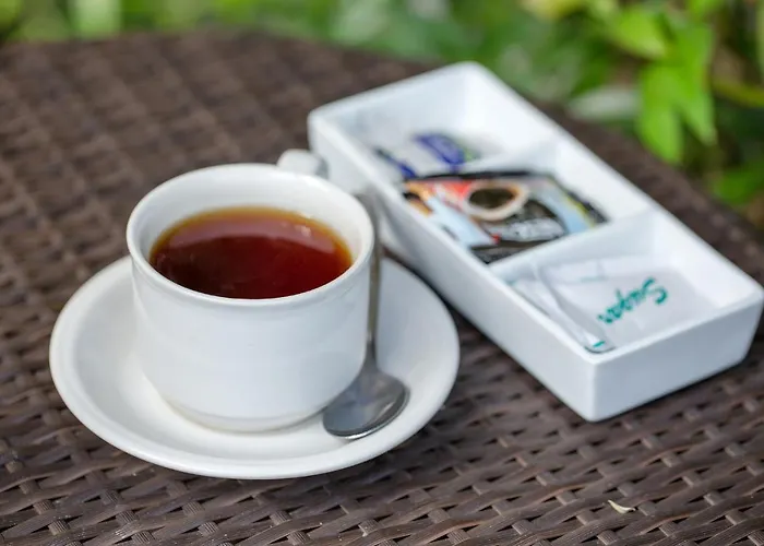Ubudku ゲストハウス 4*